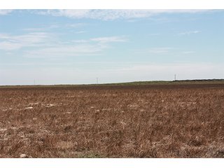 Property photo 91 - LAND AUCTION, 3255+/- Acres offered in 13 Tracts